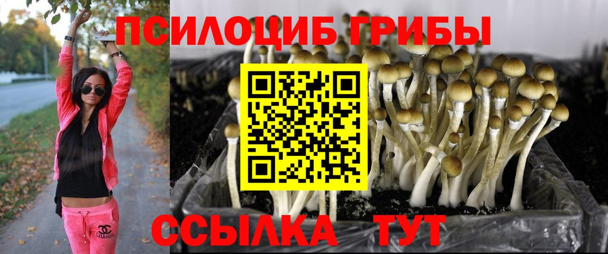 Галлюциногенные грибы ЛСД  Вход с VPN  Галлюциногенные грибы MAGIC MUSHROOMS  Дальнереченск 